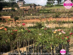 MadeinMycountry MadeinMycountryIndia India Kerala